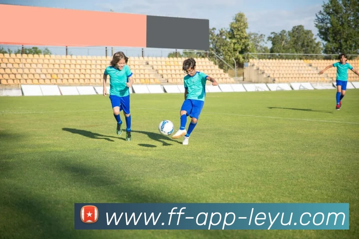 多媒体互动体验