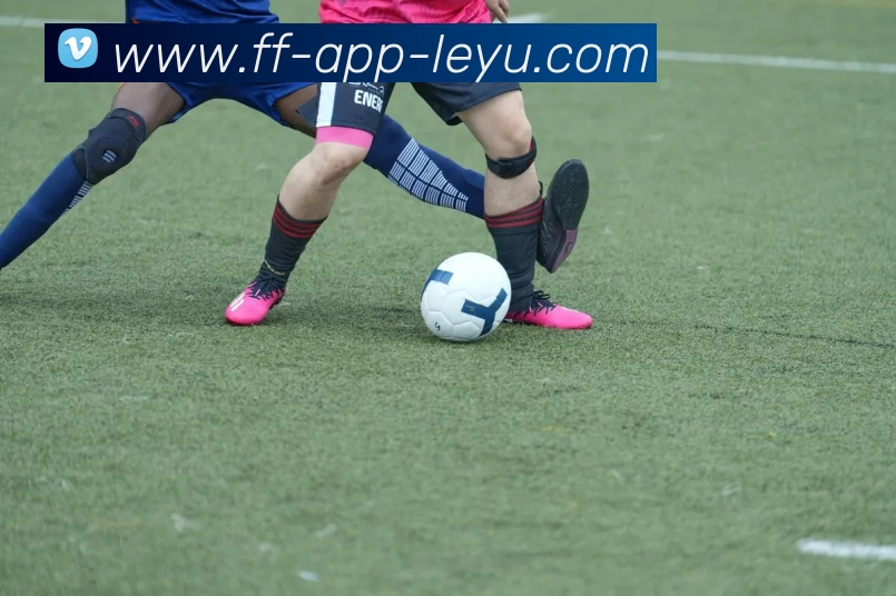 乐鱼官网APP 高清赛事图